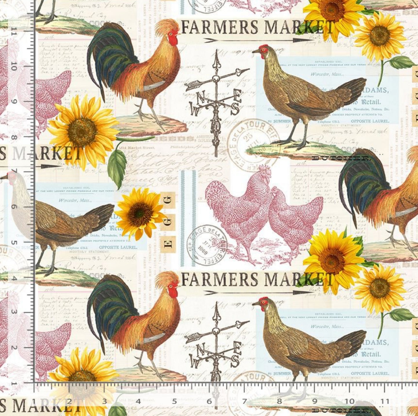Spring Chickens - Poultry Farmer's Market Fabric - Timeless Treasures Fabrics