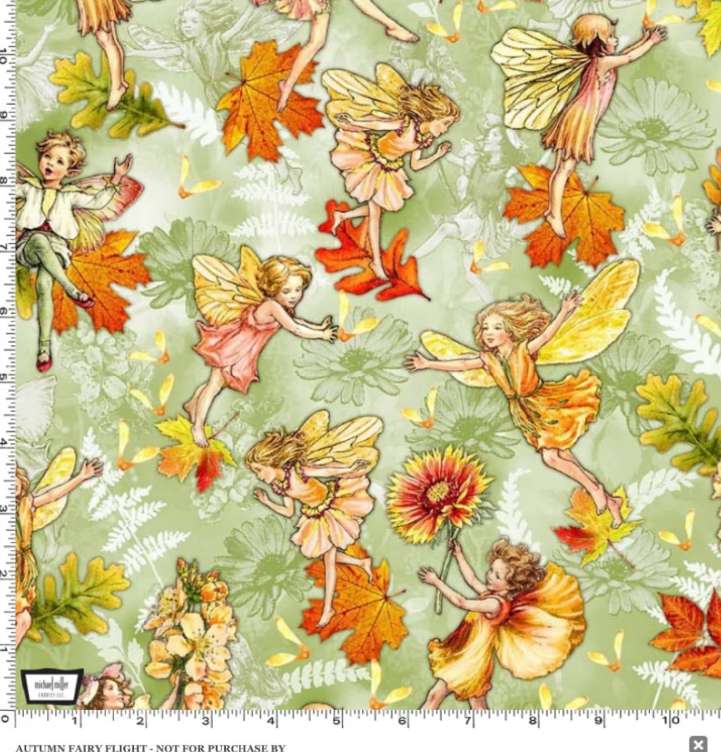 Autumn Fairy Flight - Flower Fairies of the Autumn - Michael Miller Fabrics