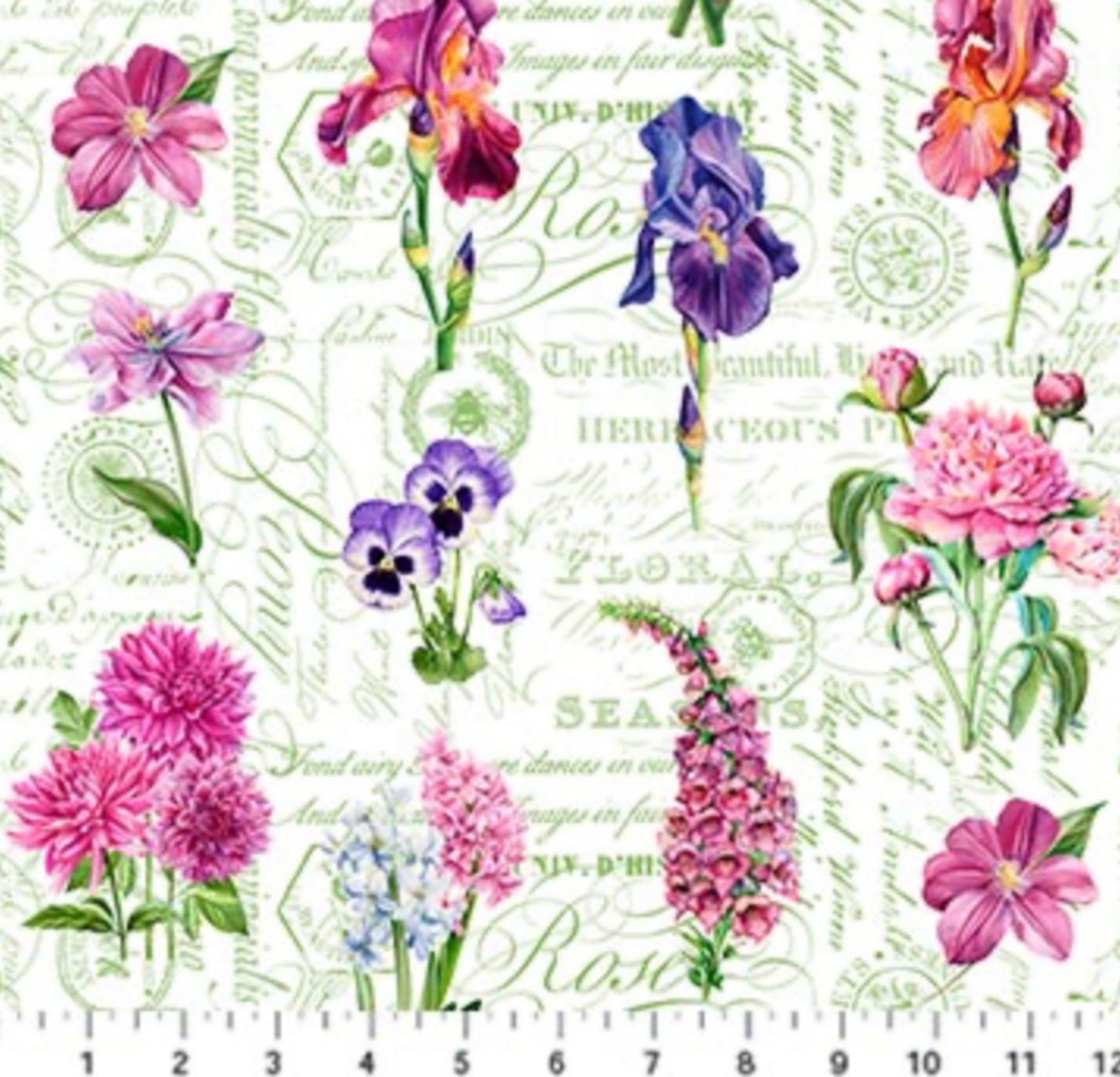 Flowers On Script - Deborah's Garden Collection - Northcott Fabrics