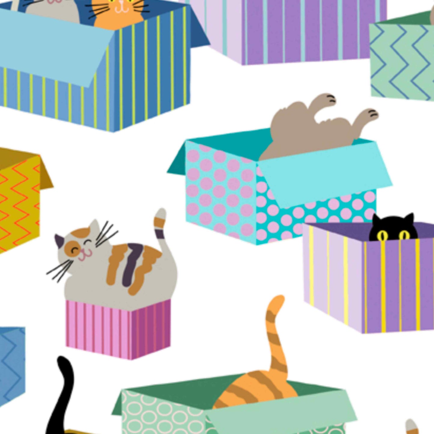 Fabric By The Yard - Cats & Boxes - 28576-Z - QT Fabrics