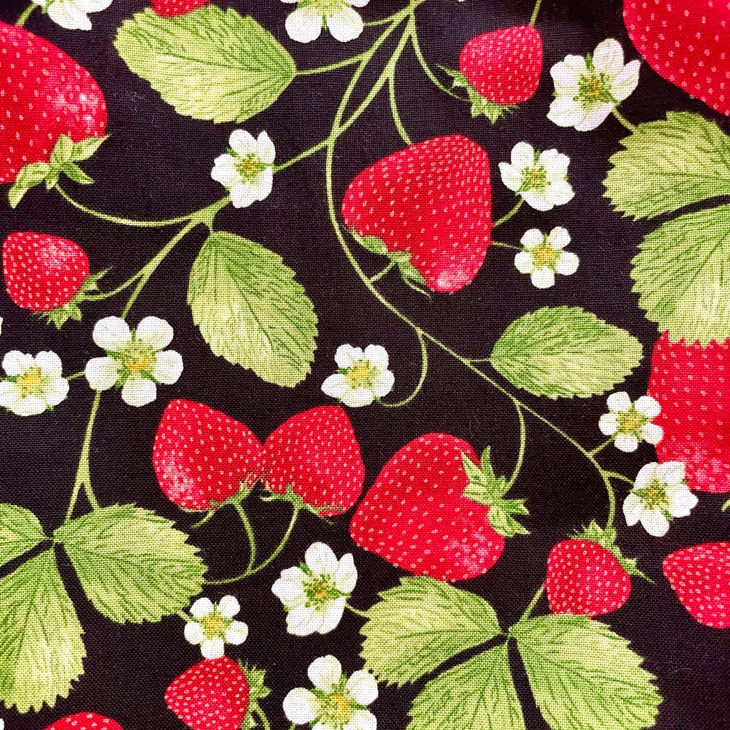 Plastic Bag Holder Dispenser - Strawberries and Vines