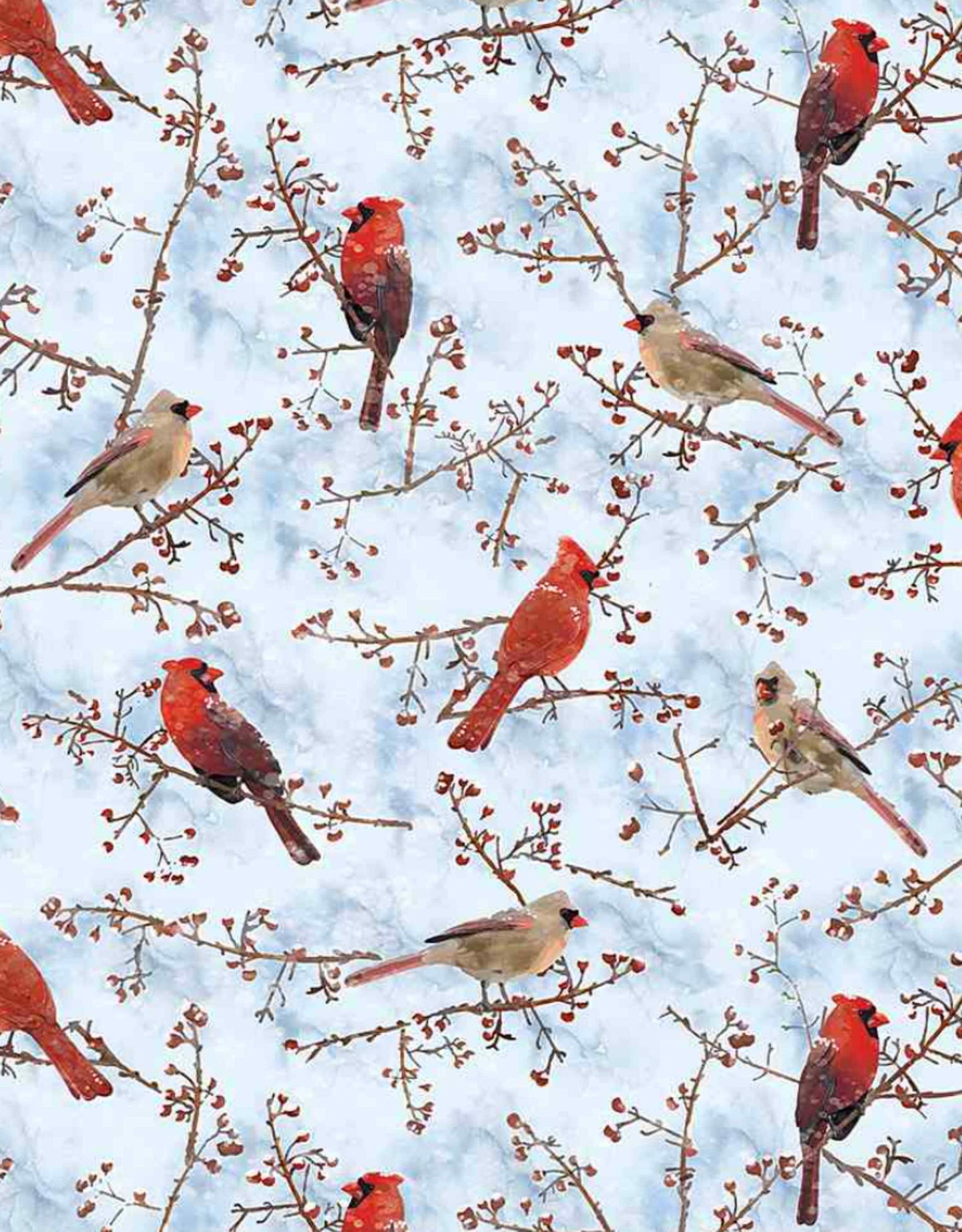 Winter Cardinals CD1217 - Winter Woods - Blue -TTFabrics