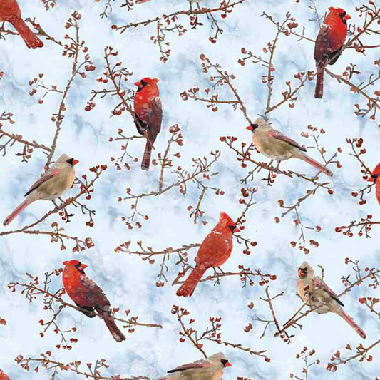 Winter Cardinals CD1217 - Winter Woods - Blue -TTFabrics