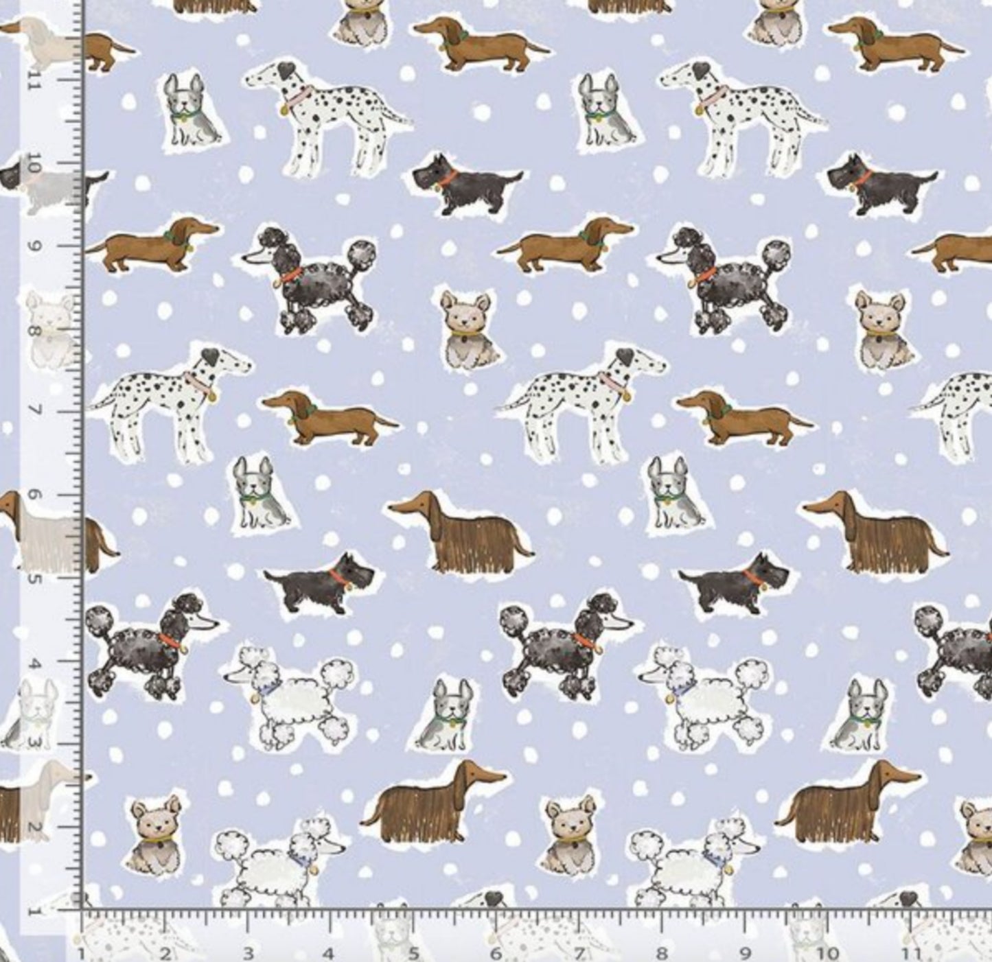 Stay Pawsitive - Ma Belle Collection - Dear Stella DCJ2568
