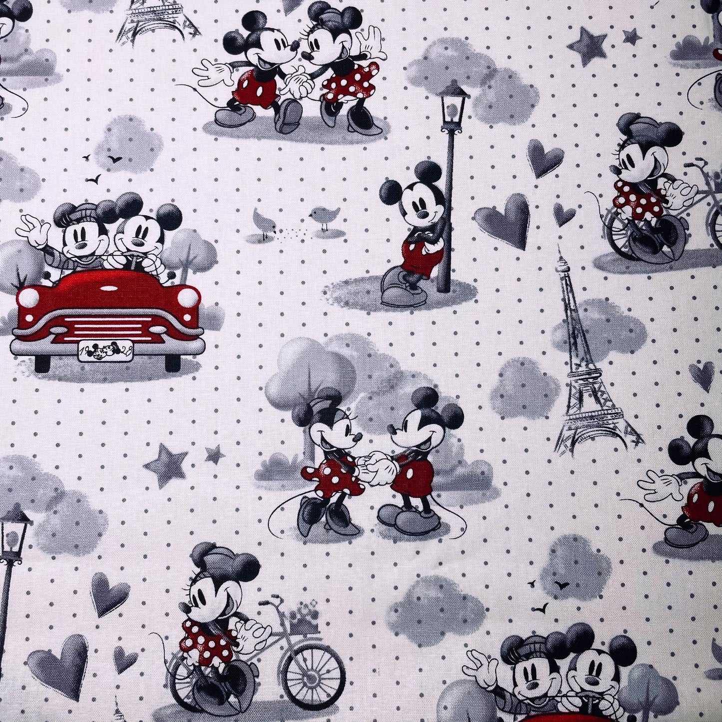 Plastic Bag Holder Dispenser - Retro Paris Theme