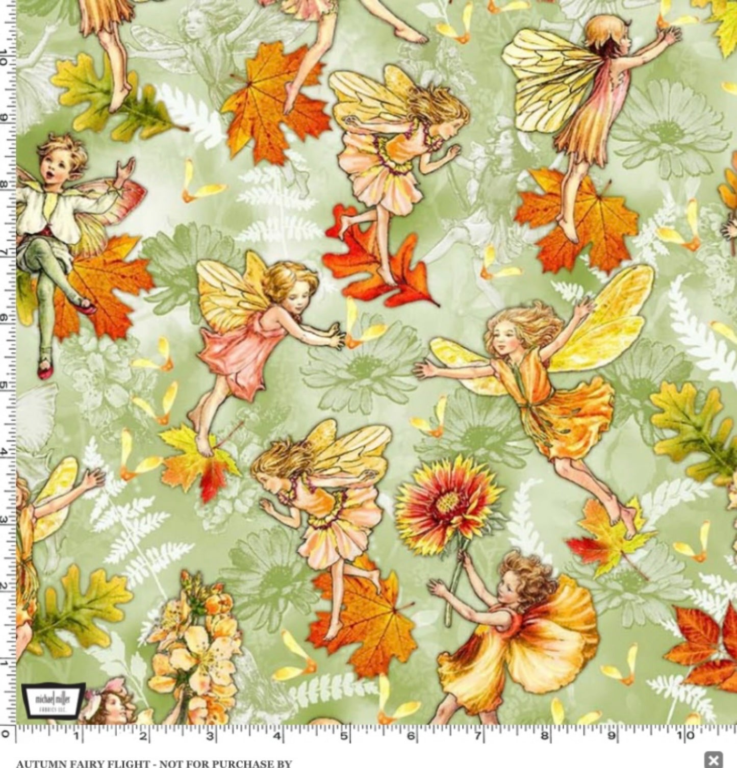Autumn Fairy Flight -  Flower Fairies of the Autumn - Michael Miller Fabrics