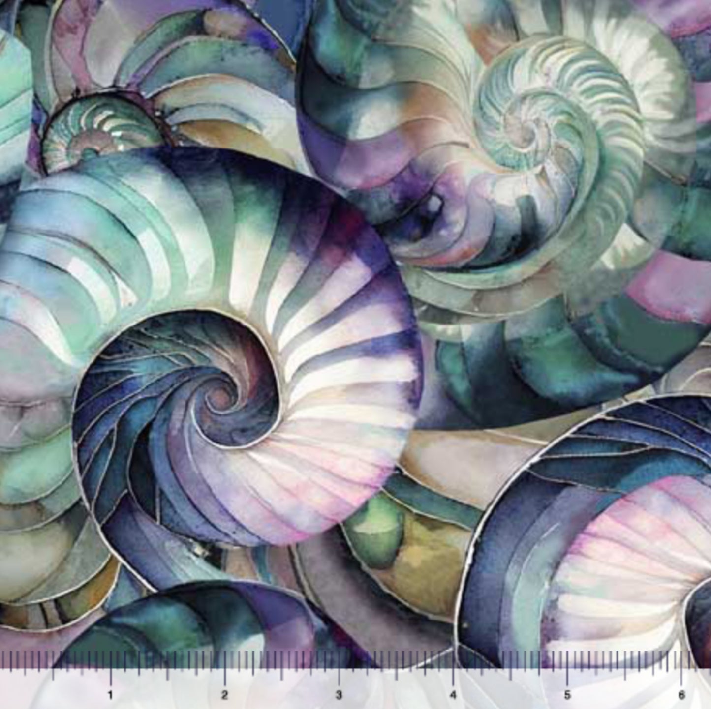 Clustered Shells - Seashell Soiree Collection - QT Fabrics