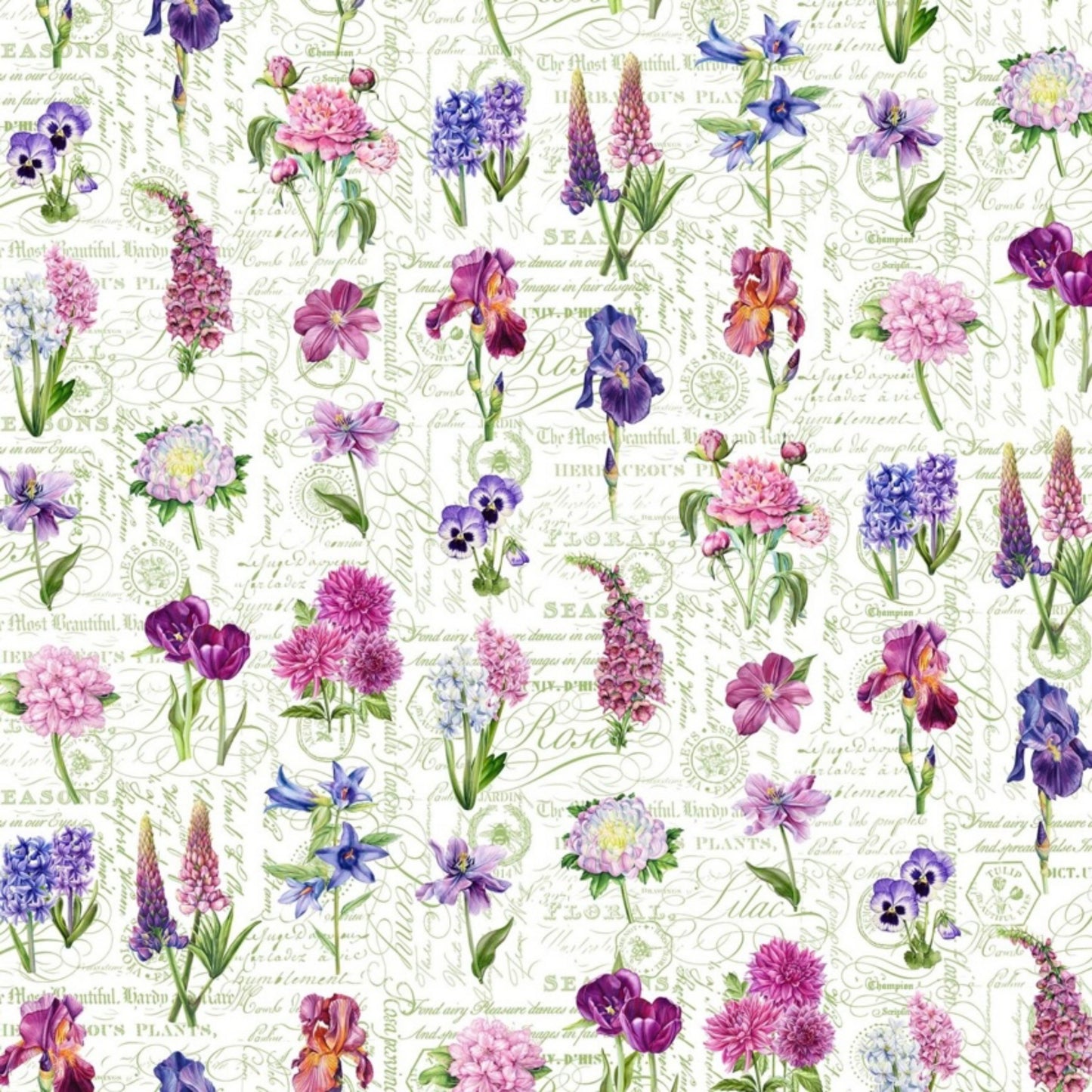 Flowers On Script - Deborah's Garden Collection by Michel Design Works for Northcott Fabrics