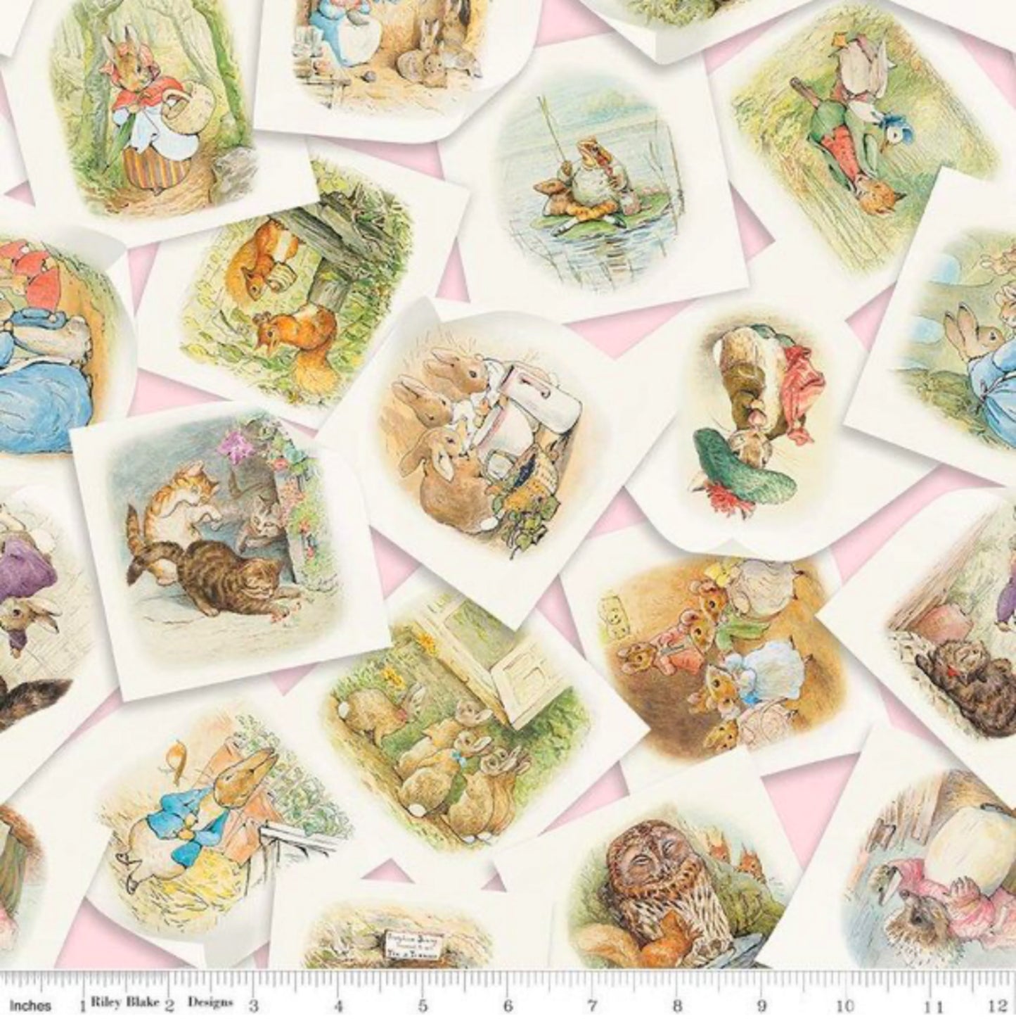 Peter Rabbit and Friends - Main Pink - Riley Blake Designs