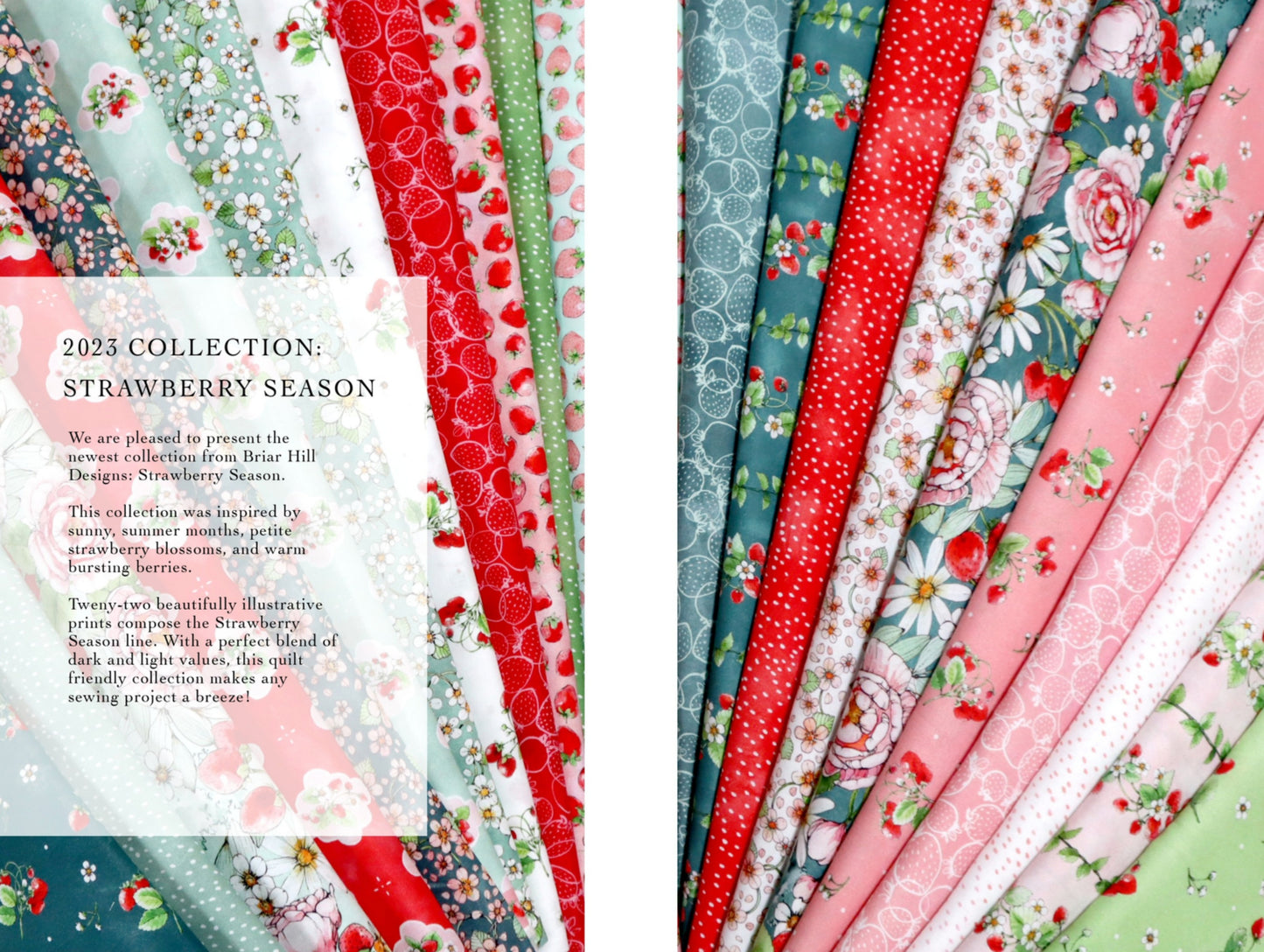 Strawberry Season Ten Square - Briar Hill Designs - Wishwell Fabrics