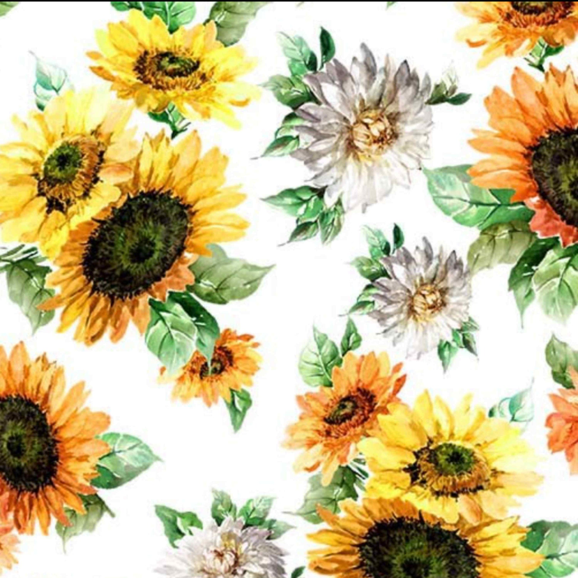 Blooming Sunflowers - Michael Miller