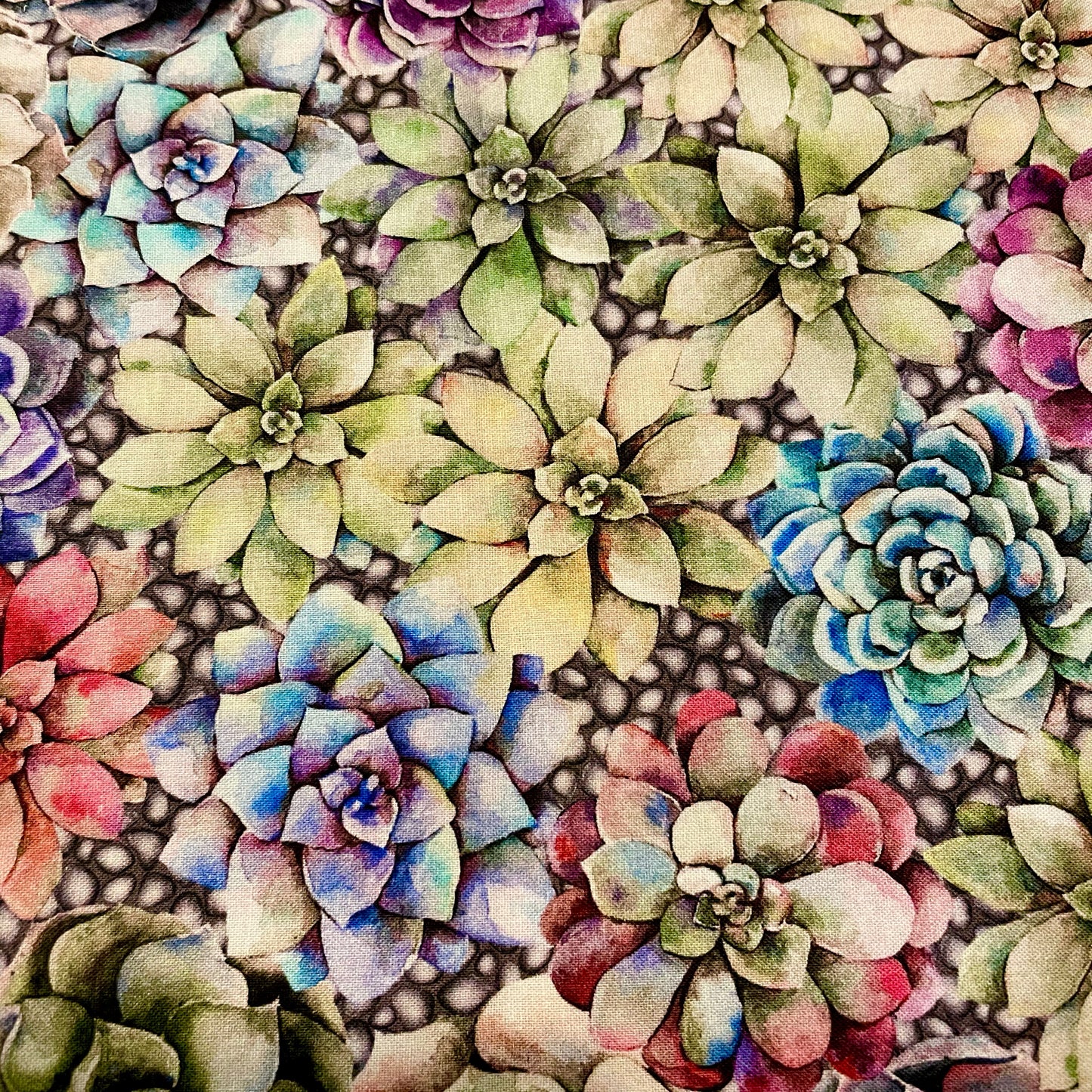 Stand Mixer Bowl Covers - Succulents